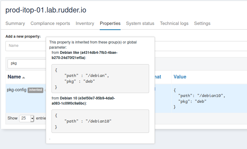 Overridden property for Debian 10 nodes